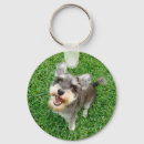 Buscar schnauzer miniatura llaveros Cachorro