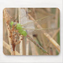 Buscar dragón verde alfombrillas de raton Libélula