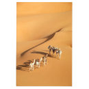 Buscar camel arte Desert