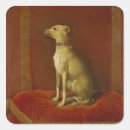 Buscar galgos pegatinas Retrato