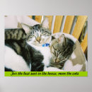 Buscar cómodo posters Gato