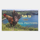 Buscar gallo divertido pegatinas Animales de granja