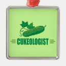 Buscar pepino adornos Ensalada