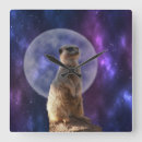 Buscar cósmico relojes de pared Animal