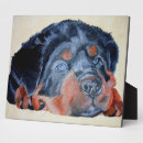 Buscar rottweiler placas fotograbadas Cachorro