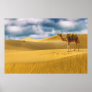 Buscar duna posters Desierto