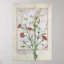 Buscar iluminado arte Rosa