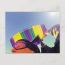 Buscar paracaidista postales Skydiving