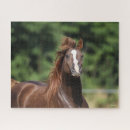 Buscar cabeza de caballo puzzles Hombre que fluye