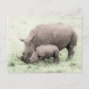 Buscar animales africanos postales Rinoceronte