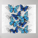 Buscar realista posters Mariposas