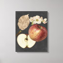 Buscar comida lienzos Frutas