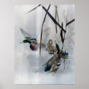Buscar mallo posters Animal