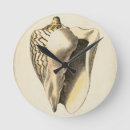 Buscar sepia relojes de pared Concha