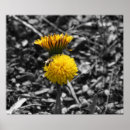 Buscar tranquilidad arte Amarillo