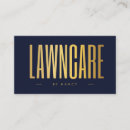 Buscar lawncare Servicio