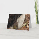 Buscar gusano tarjetas Para todos