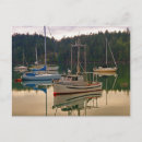 Buscar pesca postales Colorido