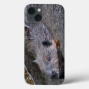 Buscar castor fundas Vida silvestre