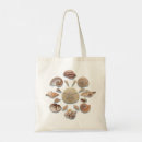 Buscar seashells bolsos Océano