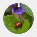 Buscar ladybug adornos Escarabajo