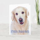 Buscar golden retriever feliz tarjetas Recuperador de oro