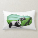 Buscar panda cojines Divertido