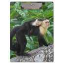 Buscar parte posterior libretas Animal