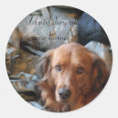 Buscar perro militar pegatinas Camuflaje