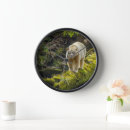 Buscar illg gordon de relojes de pared Oso negro