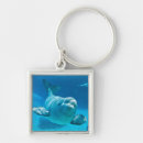 Buscar beluga llaveros Adorable