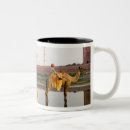 Buscar taj mahal tazas Agra