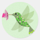 Buscar colibrí verde pegatinas Pájaro