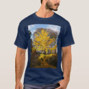 Buscar ginkgo ropa Árbol