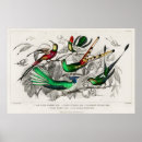 Buscar pájaros exóticos posters Flores