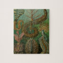 Buscar friki puzzles Insectos