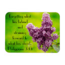 Buscar lil imanes Floral