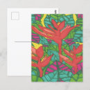 Buscar ave del paraíso postales Flores tropicales