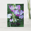 Buscar consideración tarjetas Floral