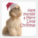 Buscar espeleología pegatinas Animal