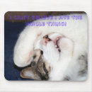 Buscar kramer Gato