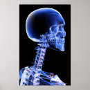 Buscar cuello humano posters Vertical