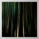 Buscar bambú posters Árboles