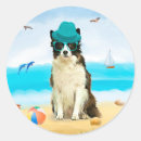 Buscar perro a bordo pegatinas General y unisex