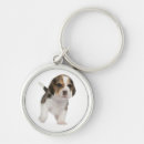 Buscar beagle llaveros Perrito