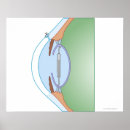 Buscar medical arte Doctor's office