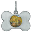 Buscar mosca collares Pesca de trucha