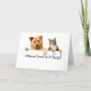 Buscar perro y gato invitaciones Gatito