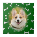 Buscar mascota azulejos Madre