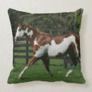 Buscar pinto cojines Caballo